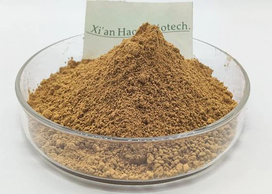 black maca root powder