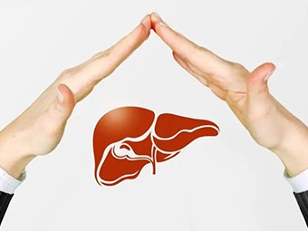 Die Vorteile von TUDCA, die Sie kennen müssen